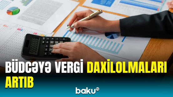 Nazir müavinindən əmək müqavilələri ilə bağlı mühüm açıqlama