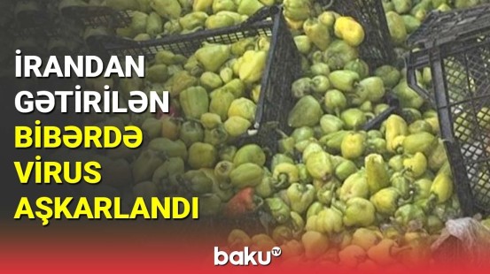 İrandan gətirilən bibərdə virus aşkarlandı