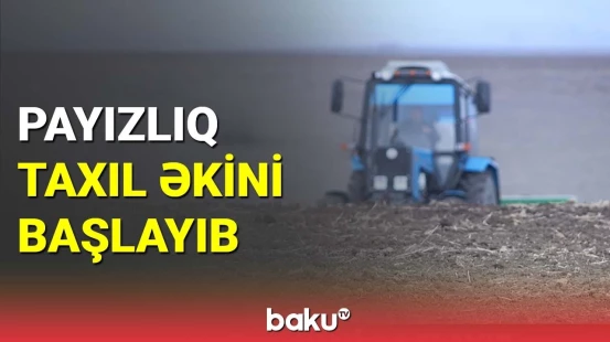 İsmayıllıda payızlıq taxıl əkini başlayıb