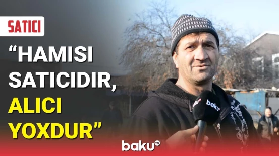 Yemi özündən baha başa gələn hind quşları