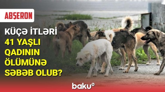 Küçə itləri 41 yaşlı qadının ölümünə səbəb olub?