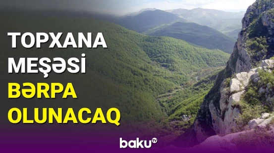Topxana meşəsi bərpa olunacaq