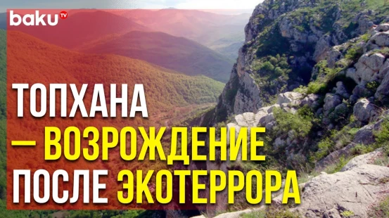 Азербайджан Начал Восстановление Леса Топхана | Baku TV | RU