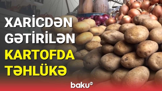 Xaricdən gətirilən kartofda təhlükə