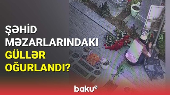 Şəhid məzarlarındakı güllər oğurlandı?