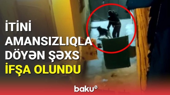 İtini amansızlıqla döyən şəxs ifşa olundu