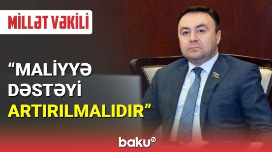 Millət vəkilindən media orqanlarına dəstək çağırışı