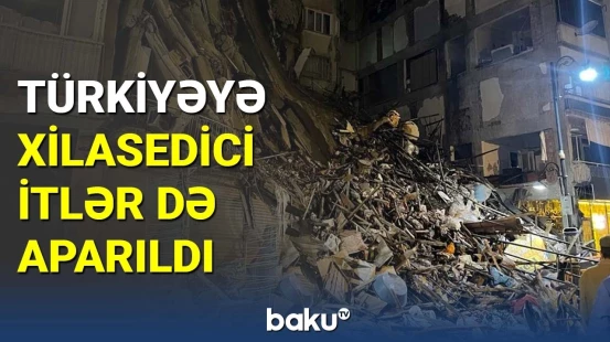 Türkiyəyə xilasedici itlər də aparıldı