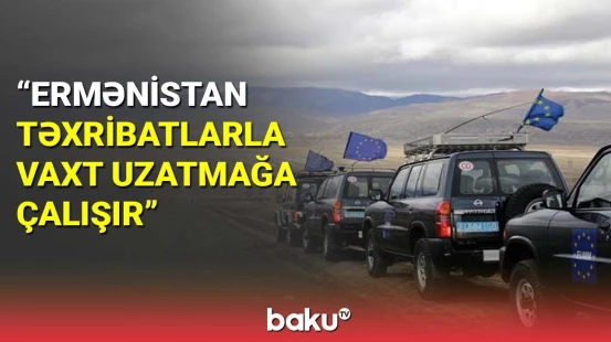 Gürcü politoloqlardan Aİ missiyasına münasibət