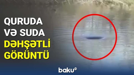 Zəlzələdən sonra yer çaydakı suyu özünə çəkir