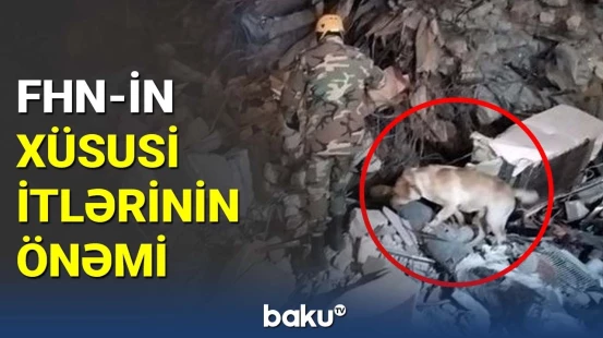 FHN-in xüsusi itlərinin önəmi