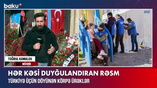 Türkiyə səfirliyində hər kəsi duyğulandıran rəsm