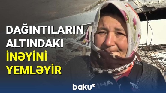 Türkiyə dağıntılar altındakı inəyini yemləyən qadından danışır