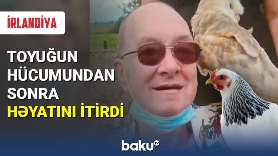 Toyuğun hücumundan sonra həyatını itirdi