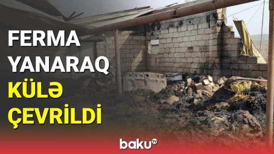 Fermadakı dəhşətli yanğın sahibkarı müflis etdi