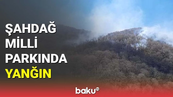“Şahdağ” Milli Parkında yanğın baş verib