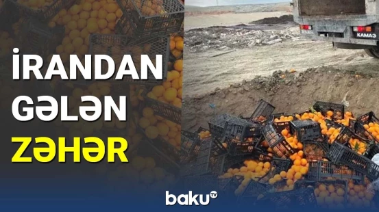 İran Azərbaycana viruslu portağal göndərdi