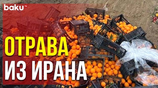 Тонны Ядовитых Апельсинов из Ирана Уничтожены на Полигоне в Сумгайыте | Baku TV | RU