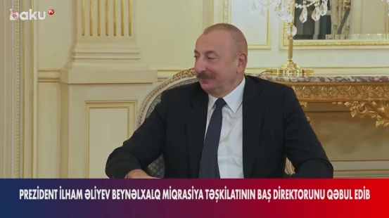 Prezident Beynəlxalq Miqrasiya Təşkilatının Baş direktorunu qəbul edib