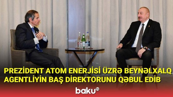 İlham Əliyev Atom Enerjisi üzrə Beynəlxalq Agentliyin Baş direktorunu qəbul edib