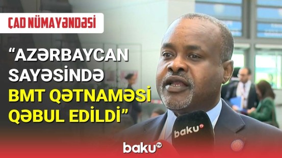 Çad nümayəndəsi: Azərbaycan sayəsində BMT qətnaməsi qəbul edildi