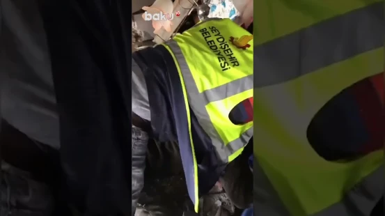 Собака по Кличке Алекс Выжила спустя 23 дня после Землетрясения