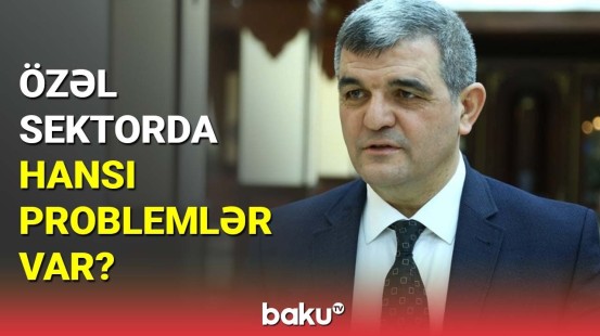 Özəl sektorda hansı problemlər var?