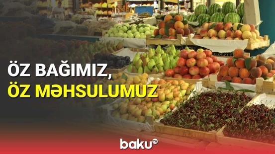İdxaldan asılılığı azaltmaq mümkündür?