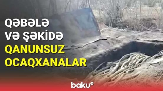 Qəbələ və Şəkidə qanunsuz ocaqxanalar