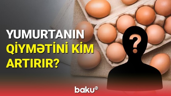 Yumurtanın qiyməti süni artırılır?