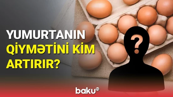 Yumurtanın qiyməti süni artırılır?