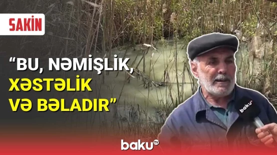 Sumqayıtda şəhər mərkəzində acınacaqlı vəziyyət