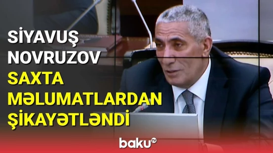 Siyavuş Novruzov saxta məlumatlardan şikayətləndi