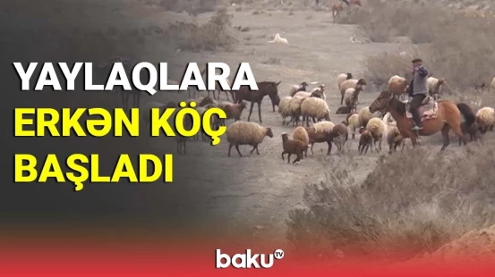 Yaylaqlara erkən köç başladı