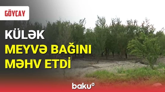 Fermerlər sığorta təkliflərindən narazıdır