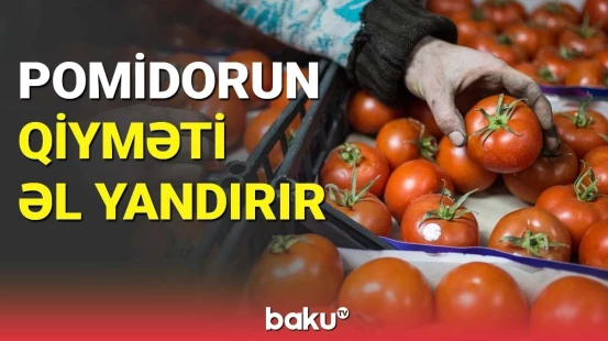 Yevlax bazarında pomidorun qiyməti əl yandırır