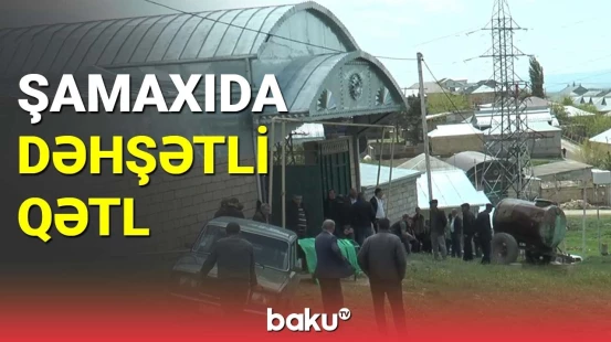 Şamaxıda dəhşətli qətl hadisəsi baş verib