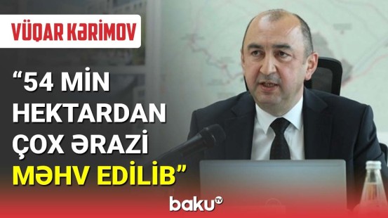 İşğal dövründə ən çox zərərçəkən meşələrimiz olub