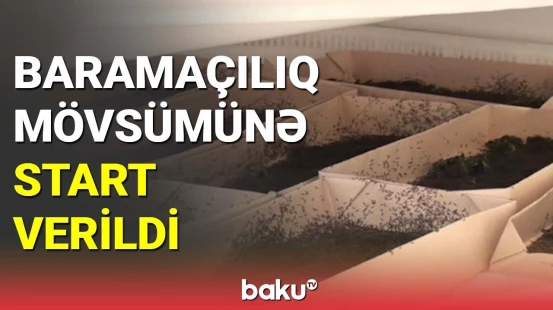 Baramaçılıq mövsümünə start verildi