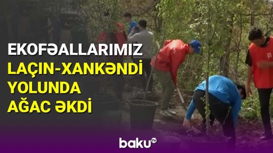 Ekofəallarımız Laçın-Xankəndi yolunda ağac əkdi