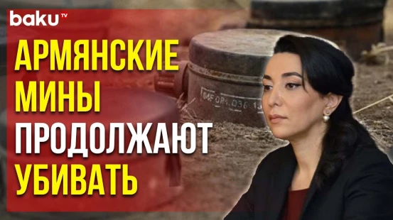 Дипломаты Выразили Соболезнования в Связи с Минным Инцидентом в Тертере