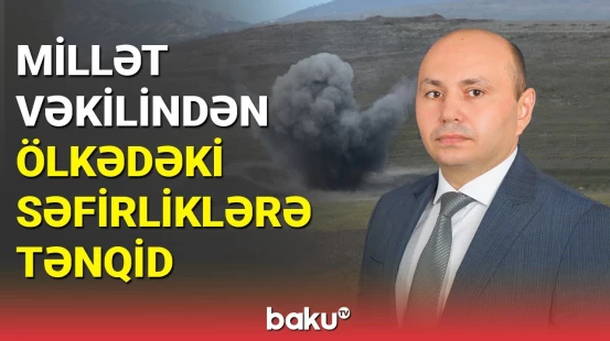 Millət vəkilindən ölkədəki səfirliklərə çağırış