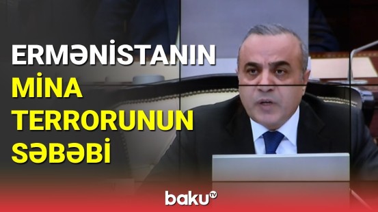 Millət vəkili: Şərqi Zəngəzurdakı quruculuq işlərinə mane olmağa çalışırlar