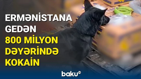 İtaliya polisi Ermənistana göndərilən üç ton narkotiki ələ keçirdi