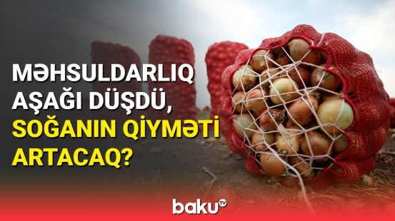 Fermerlər builki məhsuldarlıqdan narazıdır