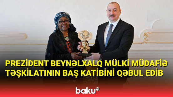 Prezident Mülki Müdafiə Təşkilatının Baş katibini qəbul edib