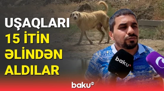 Abşeronda baş verən hadisənin şahidləri danışdı