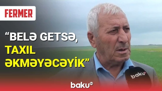 Şəkidə fermerlər çətinliklərlə üzləşib