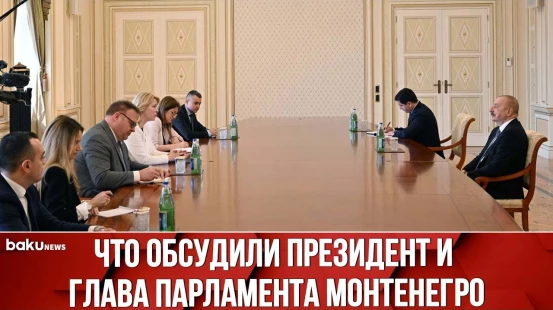 Президент Ильхам Алиев Принял Председателя Парламента Монтенегро Даниэлу Джурович