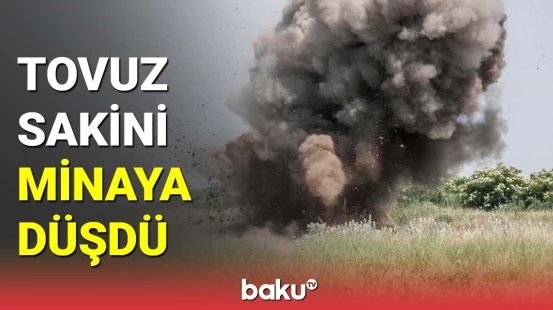 Tovuz sakini minaya düşdü